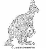 Wallaroo Kangaroo Zentangle sketch template