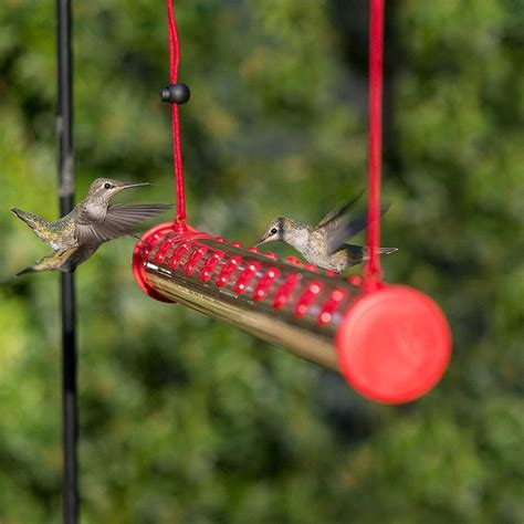 bob s best hummingbird feeder with hole birds feeding to pipe easy to