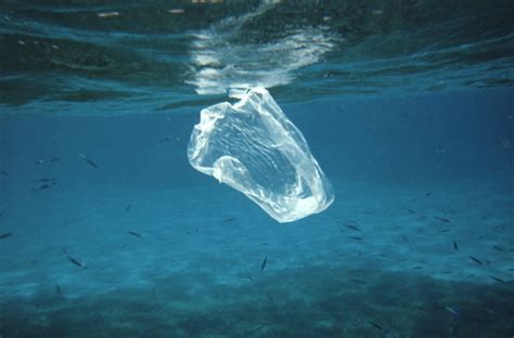 plastic   oceans science   news