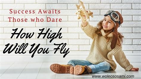 success awaits     high   fly