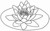 Coloring Lotus Pages Flower Printable Popular sketch template