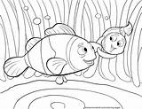 Marlin Coloring Pages Getdrawings sketch template
