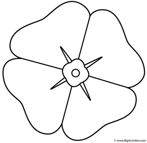 poppy coloring page remembrance day