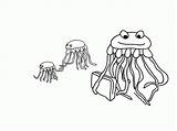 Qualle Jellyfish Octonauts Ausmalbilder Malvorlagen sketch template