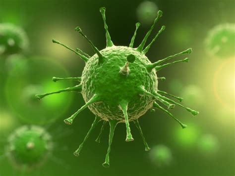 8 aspects to help you know the characteristics of viruses