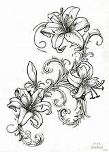 Lily Drawing Tiger Outline Tattoo Drawings Flower Sleeve Tattoos Water Lillies Lilly Designs Sketch Stargazer Lilies Flowers Quest Filagree Simple sketch template