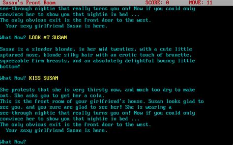 Sex interactive fiction
