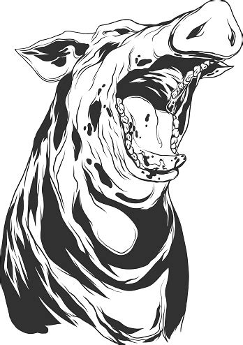 vector illustration  hog head stock illustration  image  istock