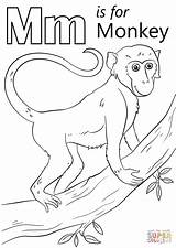 Coloring Monkey Letter Pages Printable Alphabet Sheets Preschool Letters Color Supercoloring Kids Animal Colouring Print Toddler Animals Super Cartoon Activities sketch template