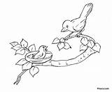 Coloring Bird Birds Baby Pages Kids Mother Drawing Colouring Printable Color Nest Realistic Draw Pitara Print Little Drawings Colour Line sketch template