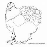 Cochin Chickens sketch template