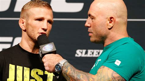 tj dillashaw calls joe rogan s commentary into question