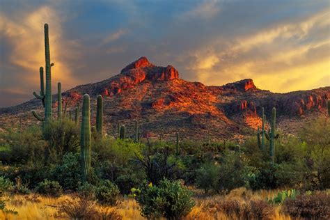 arizaona desert sunset  gold canyon fine art photo print