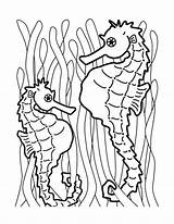 Seahorse Konik Morski Seepferdchen Kolorowanki Ausmalbild Pesci Marini Cavallucci Simplicity Wydruku sketch template