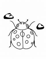 Coloring Ladybug Pages Cute Popular sketch template