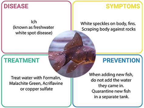 common fish disease  behaviour