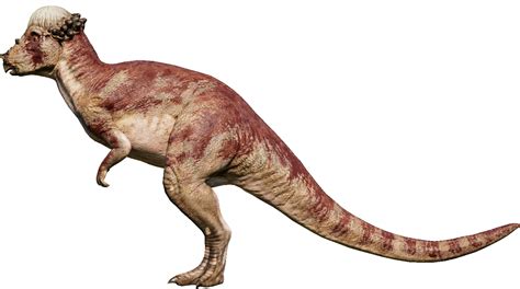 Pachycephalosaurus Jurassic World Evolution Wiki