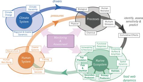 frontiers developing  socialecologicalenvironmental system framework  address climate