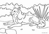 Wolf Cool2bkids sketch template