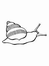 Snail Coloring Land Pages Giant African Template sketch template