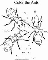 Ant Drawing Cliparts Kids Draw Printable Coloring sketch template