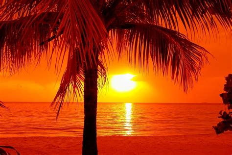60 tropical sunset hawaii beach wallpapers download at wallpaperbro