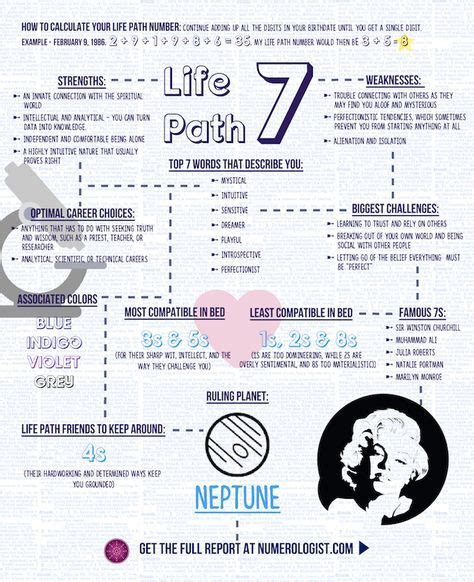 life path  discover   embark   journey   seeker life path number numerology