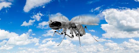 scientists develop drones  flap  wings newsflash