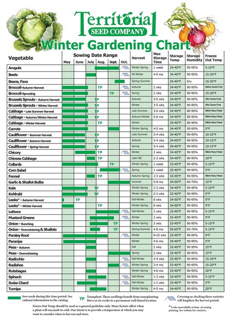 allotment planting calendar calendar  planning