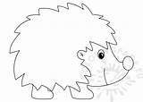 Hedgehog Template Happy Coloring sketch template