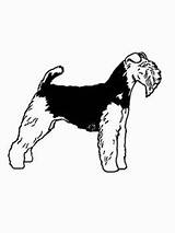 Welsh Terrier sketch template