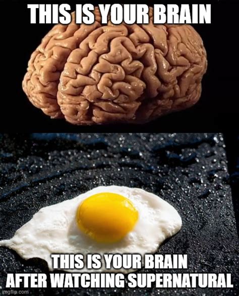 This Is Your Brain Imgflip