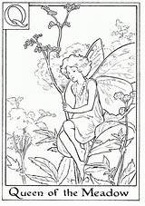 Fairies Colouring Queens Meadow 1125 sketch template