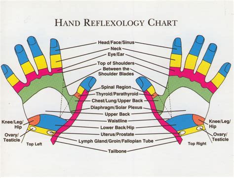 pressure point therapy reflexology  work guide  monk