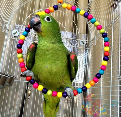 parrot supplies chew toys large swing lever elevated station tiger peony cockatiel cage