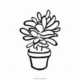 Succulent Coloring Printable Getcolorings Pages sketch template