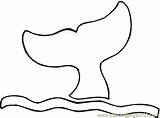 Whale Clipart Tail Template Outline Coloring Pages Clipground sketch template