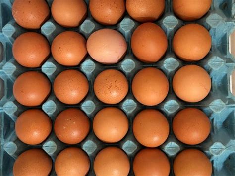 Free Range Eggs X 2 5 Dozen – Gwprice Ltd