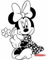 Minnie Coloring Mouse Pages Holding Flower Disney Disneyclips Book Mickey Do Funstuff Arte sketch template