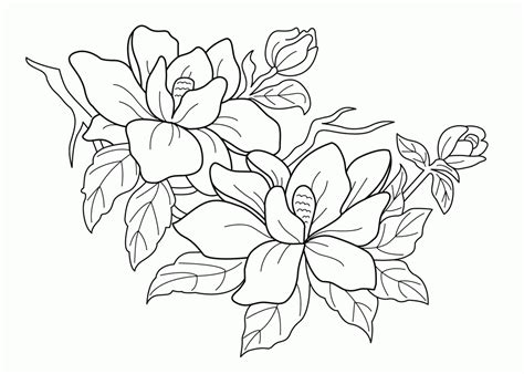 flowering tree coloring page  kids printable  coloing coloring