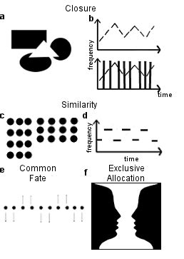 schema  principle  perceptual organization  principle   scientific