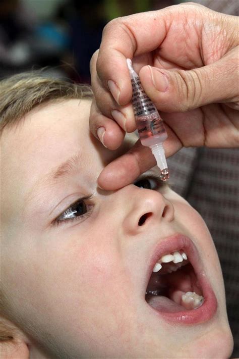 começa neste sábado vacinação de 114 mil crianças contra a