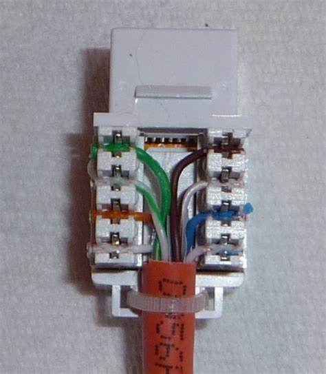 wiring  cate jack