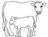 Vaca Vache Cow Bezerro Dairy Coloriages Realistic Colorier 2550 Animalplace Mamãe sketch template