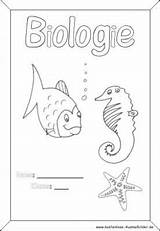Deckblatt Biologie Ausdrucken Malvorlagen Ausmalbilder Selbst Klasse Ausmalen Vorlage Fische Schulbeginn Arbeitsblatt Onlycoloringpages sketch template