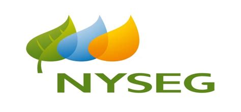 nyseg urges customers  clear vents  chimneys  natural gas