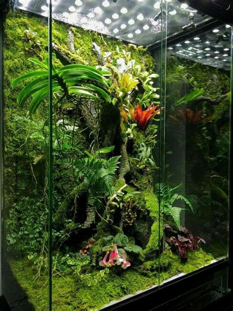 science  nature building  terrarium sciencetechnology nigeria