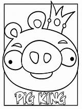 Kids Coloring Birds Angry Printable Pages Book Pig King Moldes Realistic sketch template