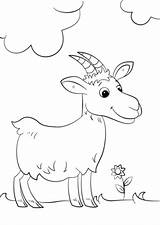 Goat Cartoon Coloring Pages Cute Drawing Printable Goats Animals Template Categories sketch template