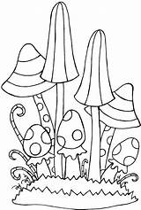 Mushroom Pattern Toadstools Hongos Pilze Websitehome sketch template